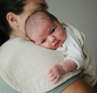 Mushie Organic Cotton Burp Cloth 2-Pack