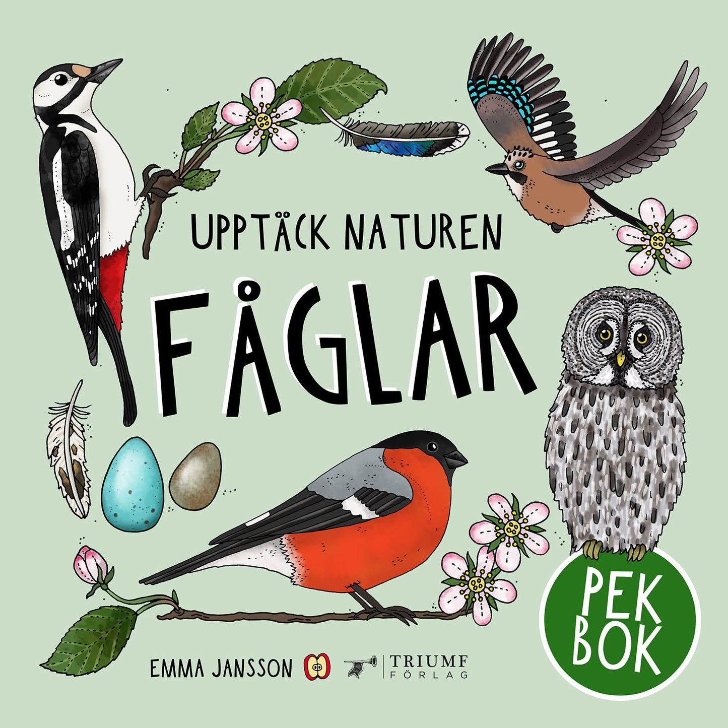 Pekbok - Upptäck naturen Fåglar