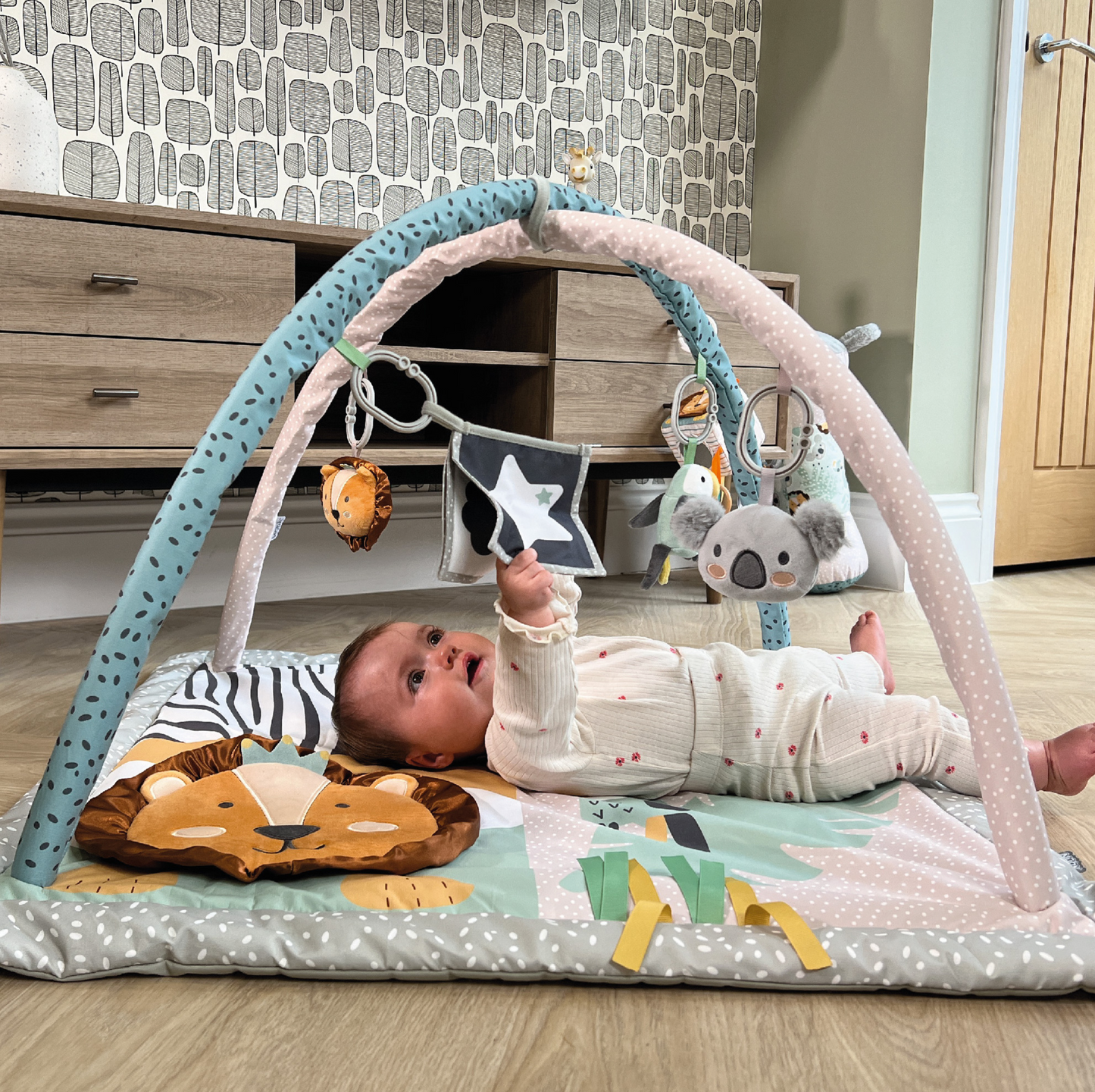 Animal Adventure Playgym + 0 m