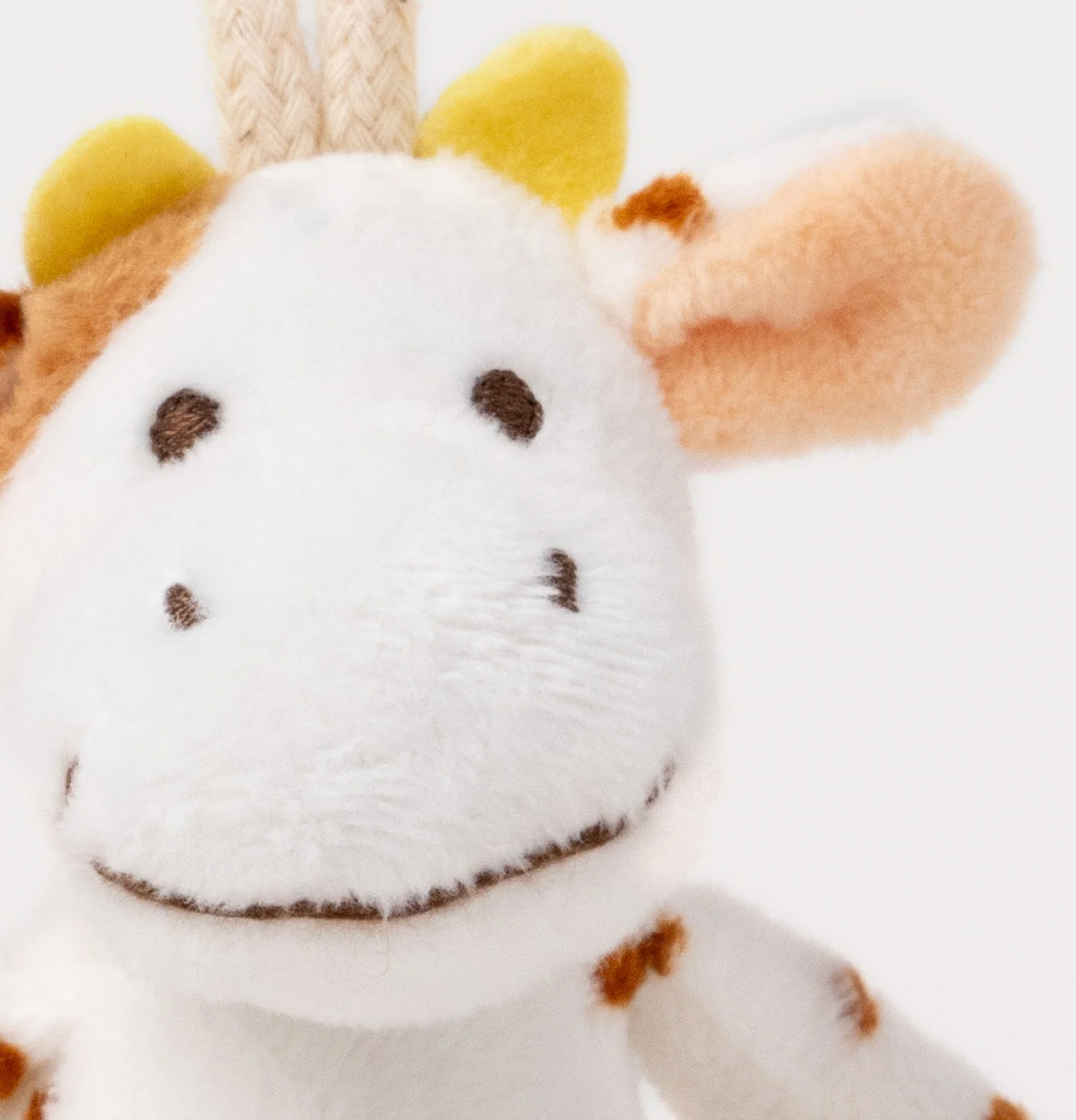 Diinglisar Clip Kossa