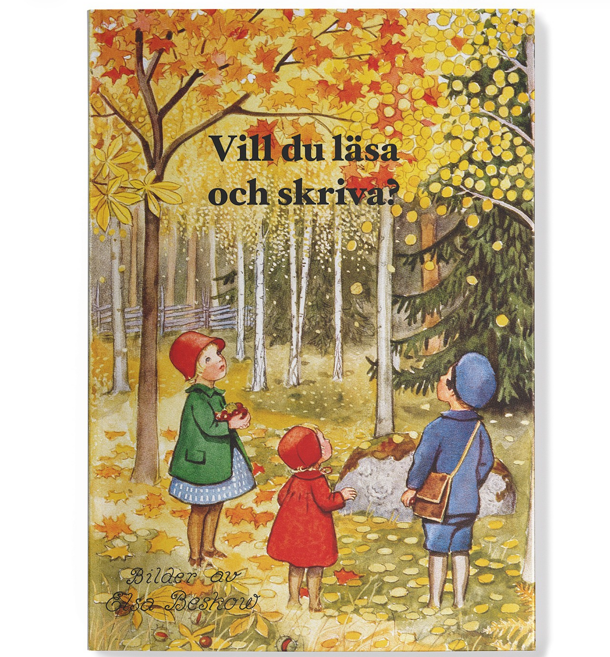 Vill du läsa och skriva? av Elsa Beskow
