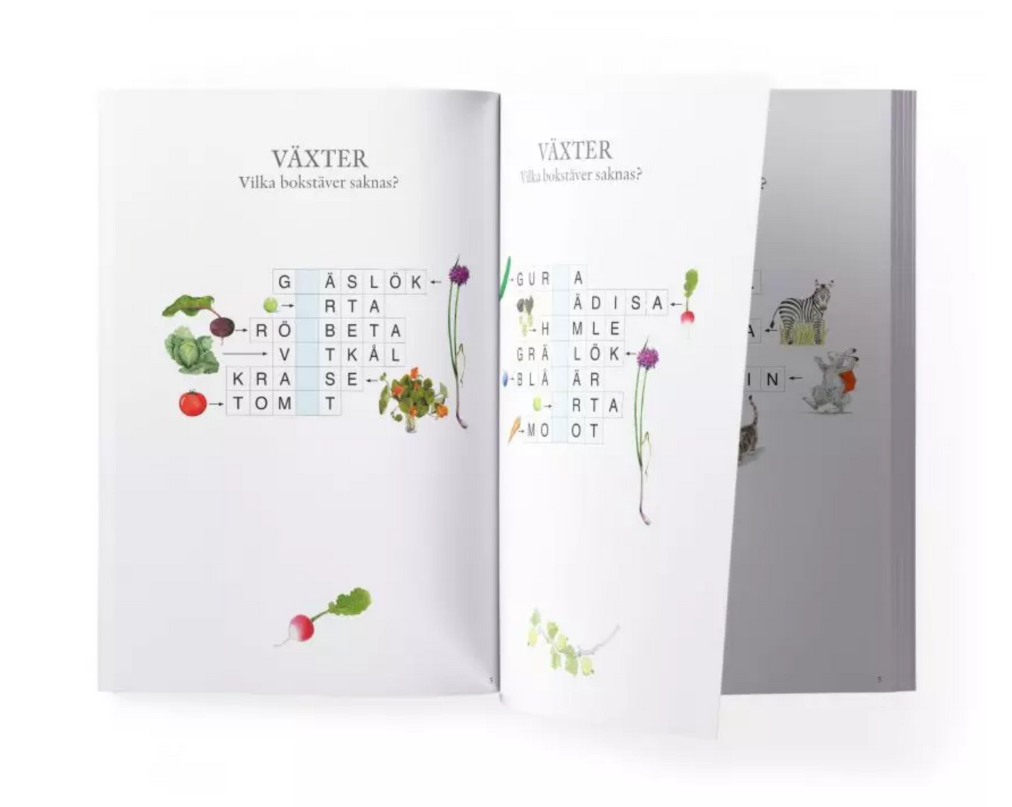 Aktivitetsbok - Maja löser korsord