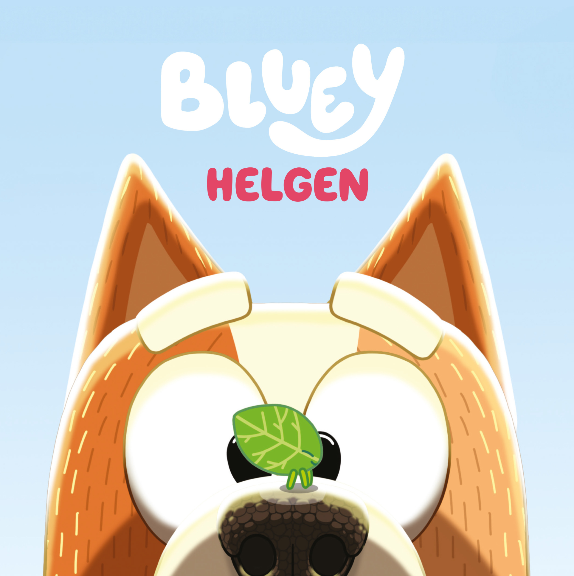 Boken - Bluey: Helgen